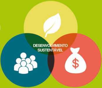 Importância da Auditoria Ambiental no Sistema de Gestão e o ciclo do Desenvolvimento Sustentável